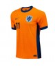 Günstige Niederlande Cody Gakpo #11 Heimtrikot EM 2024 Kurzarm